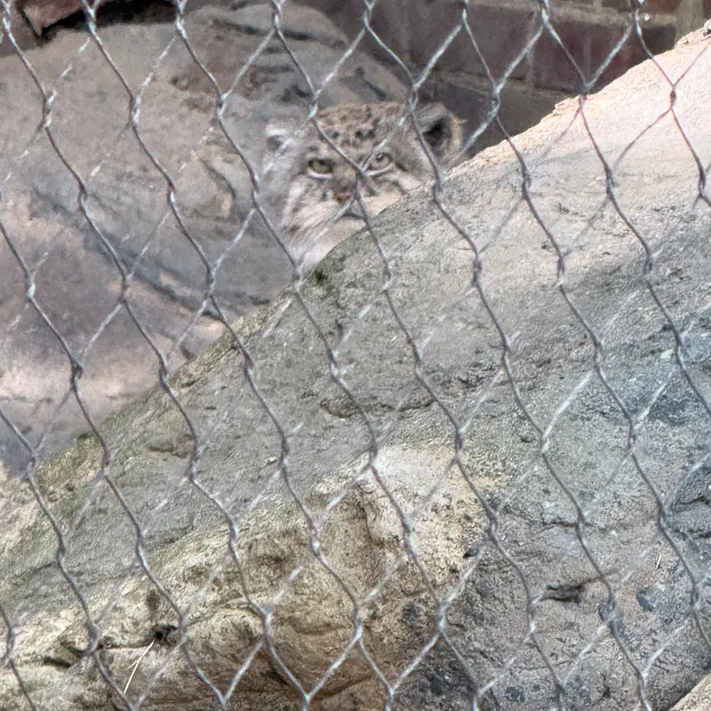プロスペクト・パーク動物園のバトゥの写真