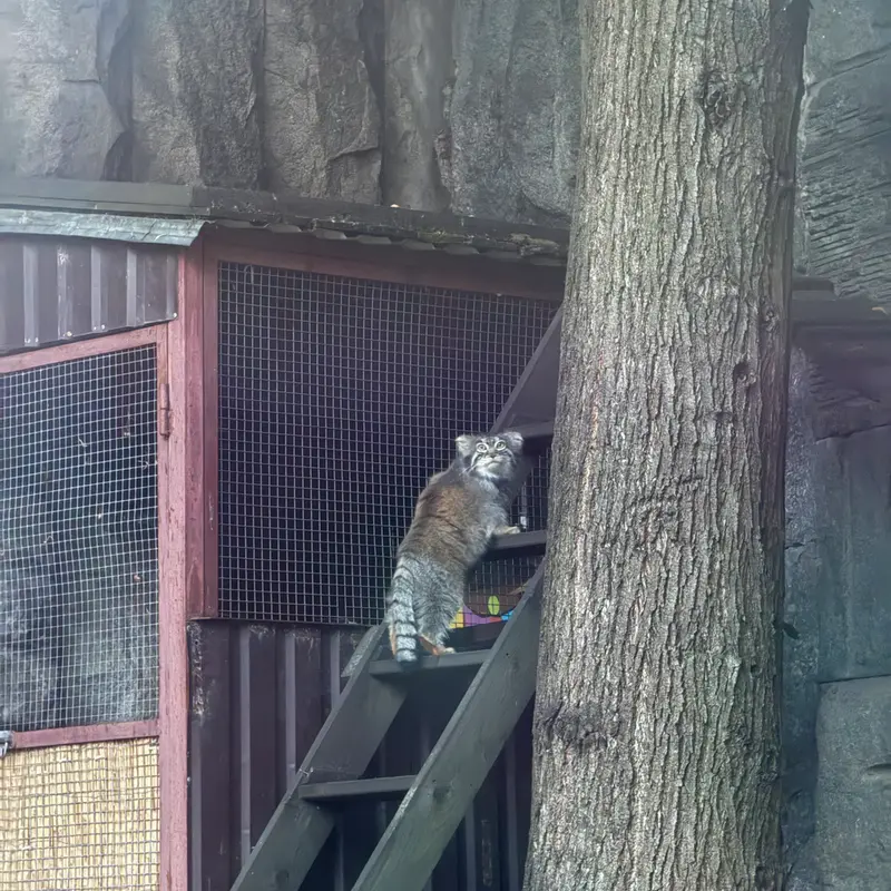 モスクワ動物園のティモフェイの写真
