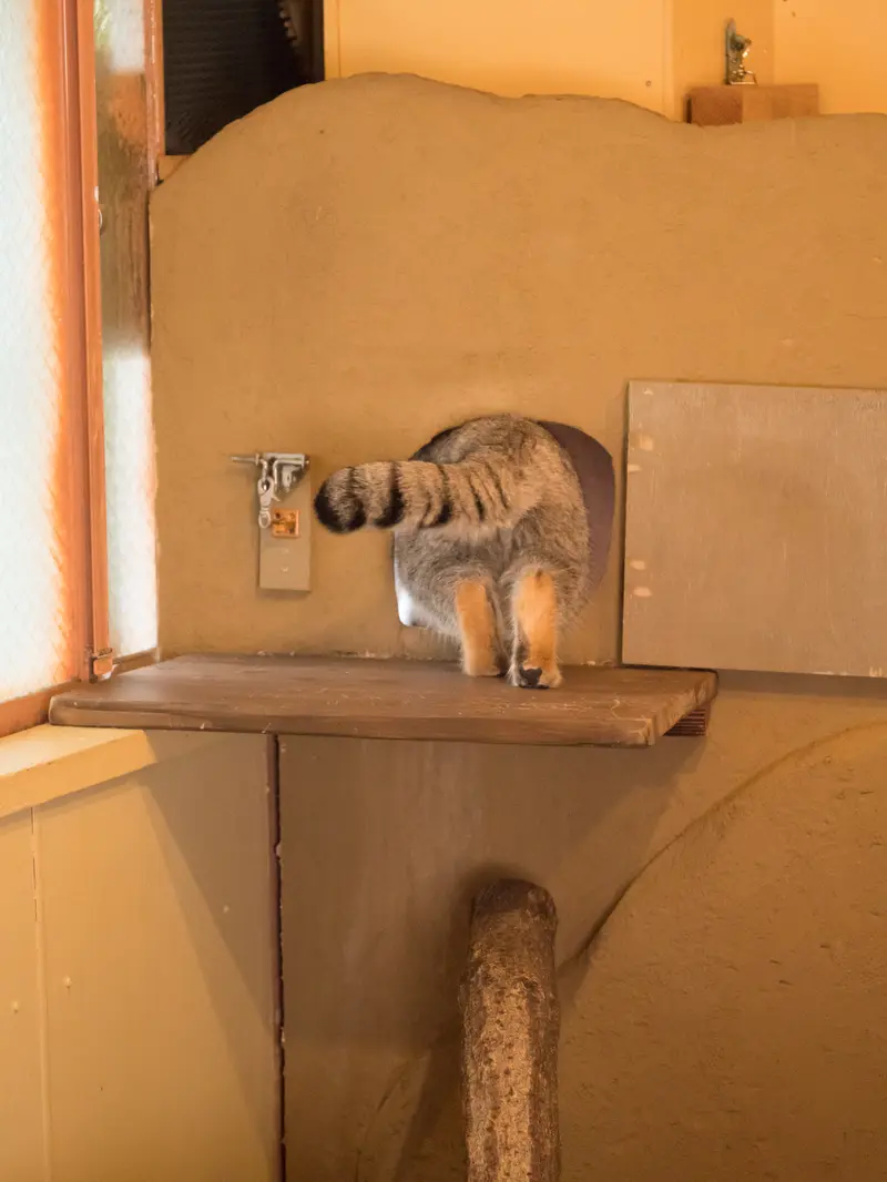 埼玉県こども動物自然公園のオトの写真