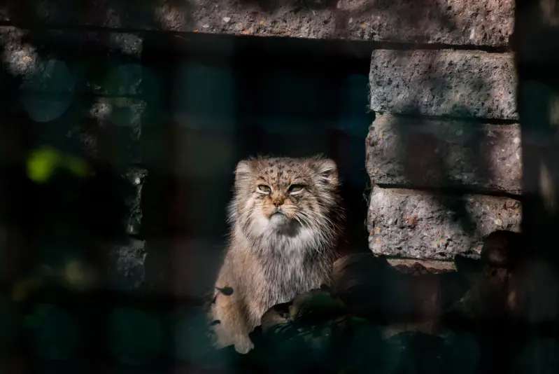 マクデブルク動物園のマヌエラの写真