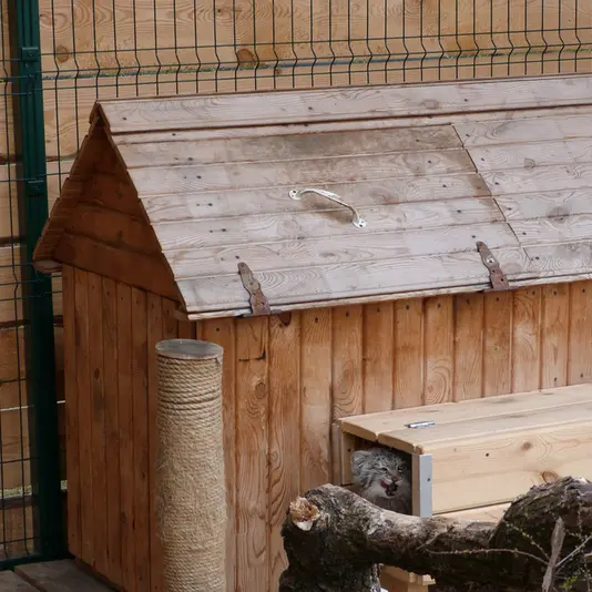 バルナウル動物園「レースナヤ・スカースカ」のペペの写真