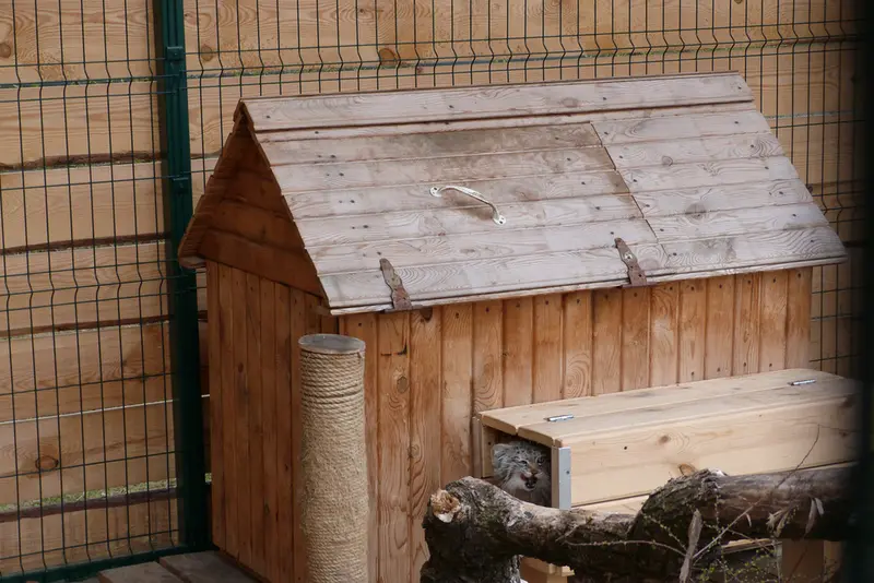 バルナウル動物園「レースナヤ・スカースカ」のペペの写真