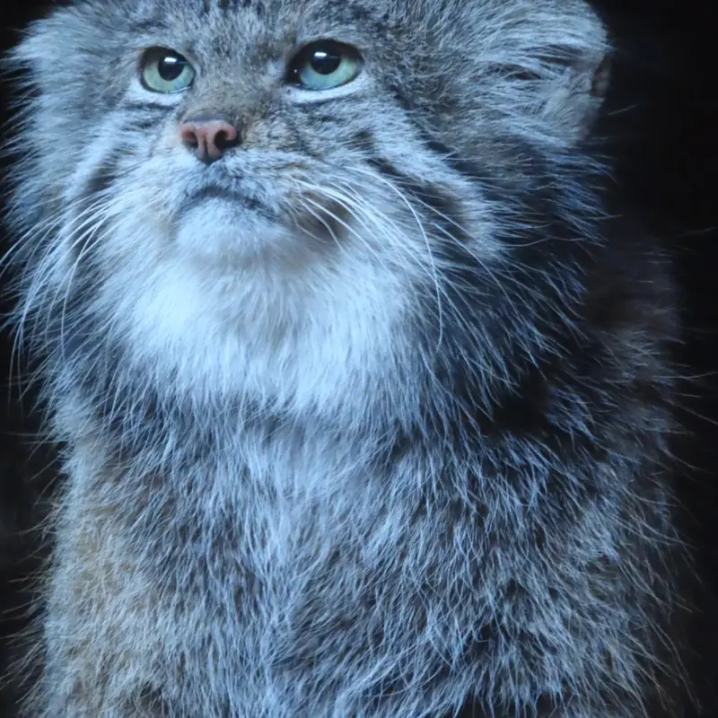 恩賜上野動物園のクリョンの写真