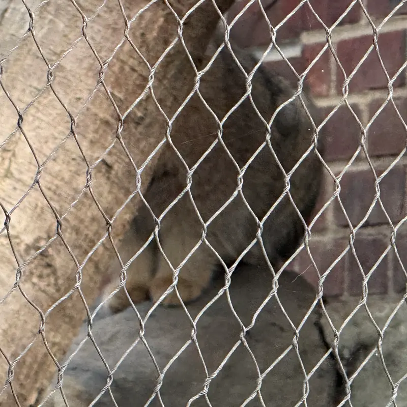 プロスペクト・パーク動物園のサルナイの写真