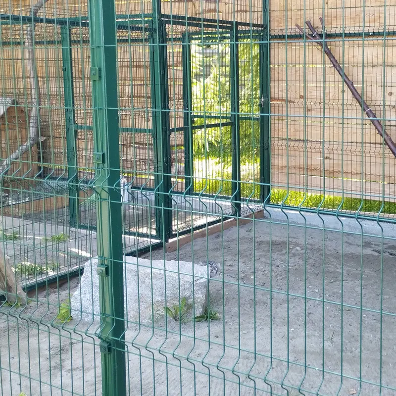 ノヴォシビルスク動物園のチップの写真