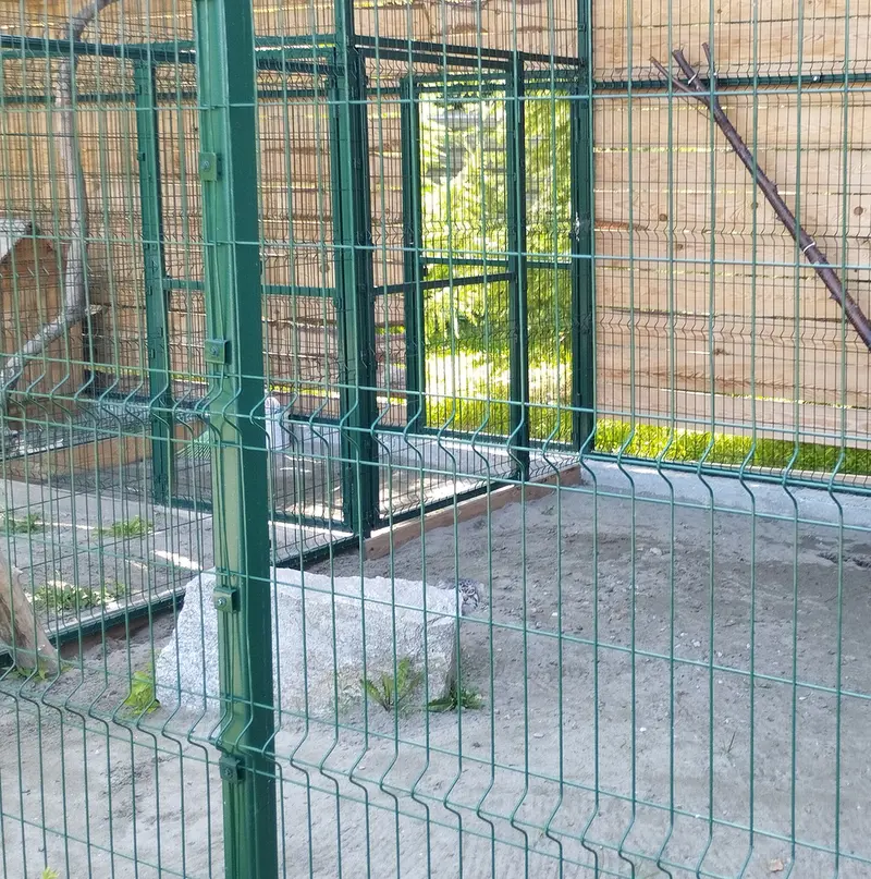 ノヴォシビルスク動物園のチップの写真