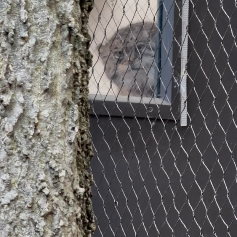 プロスペクト・パーク動物園のサルナイの写真