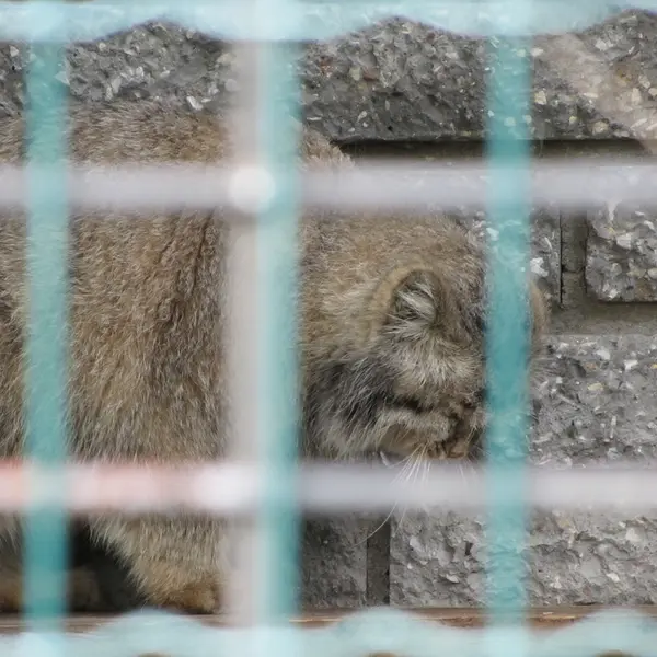 マクデブルク動物園のジョナサンの写真