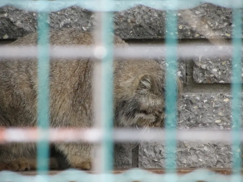 マクデブルク動物園のジョナサンの写真
