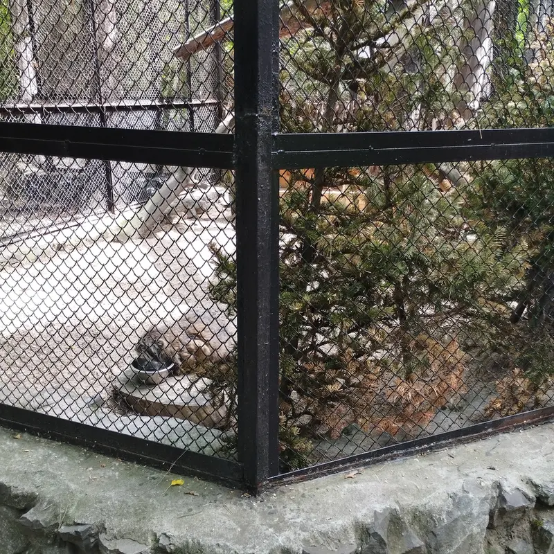 ノヴォシビルスク動物園のゼレノゴルスクの写真