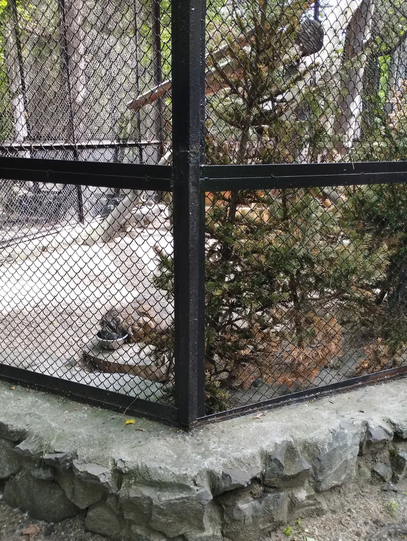 ノヴォシビルスク動物園のゼレノゴルスクの写真