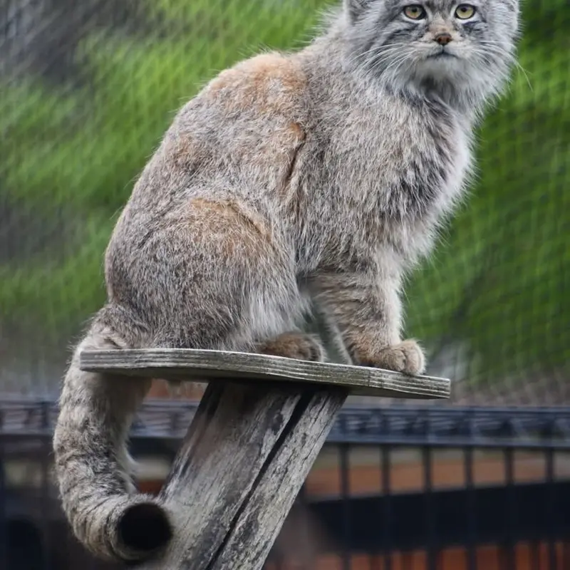バイオ・トピア・ダンケルクのサランの写真
