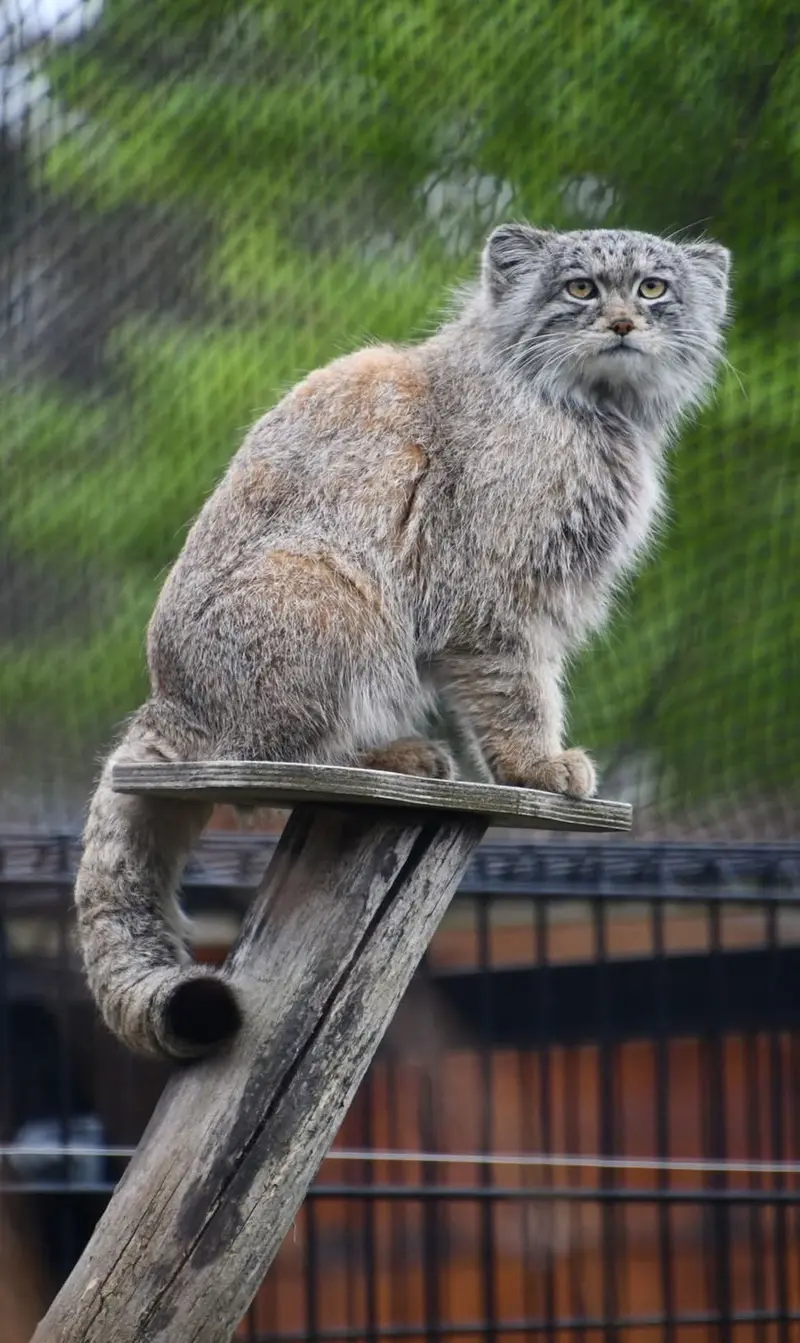 バイオ・トピア・ダンケルクのサランの写真