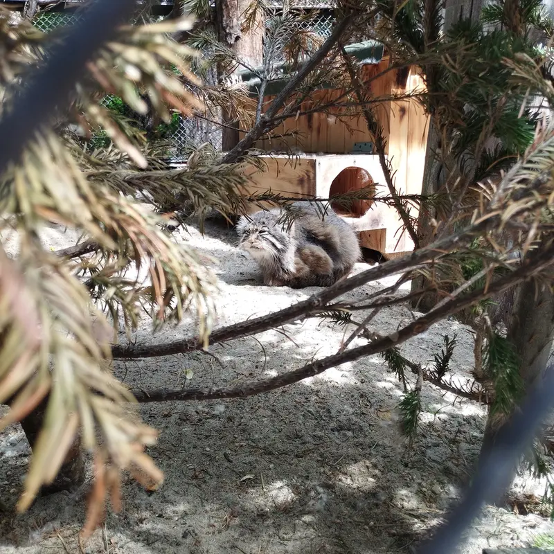 ノヴォシビルスク動物園のゼレノゴルスクの写真