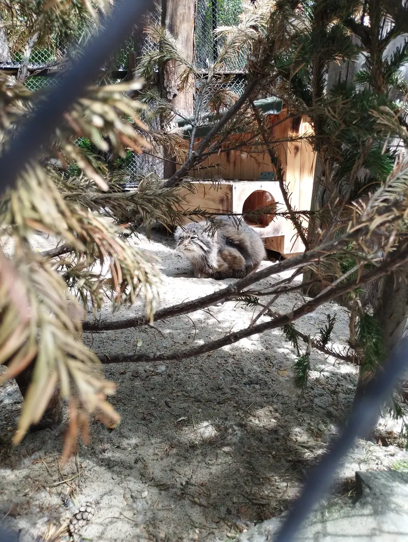 ノヴォシビルスク動物園のゼレノゴルスクの写真