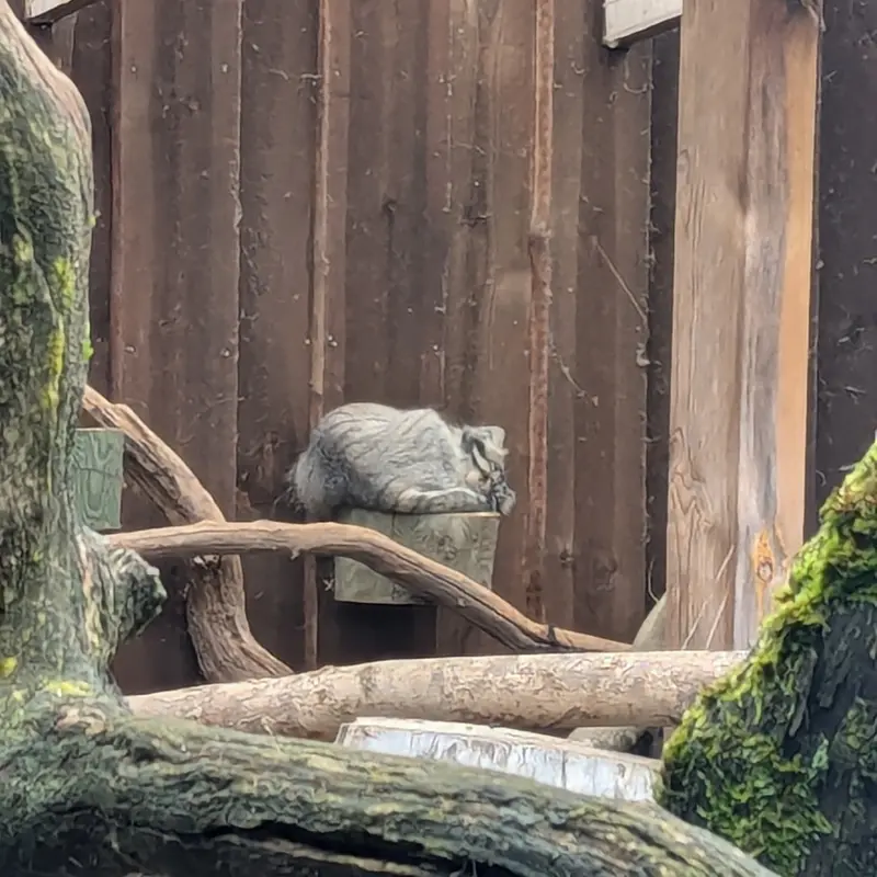 タリン動物園のマーズの写真