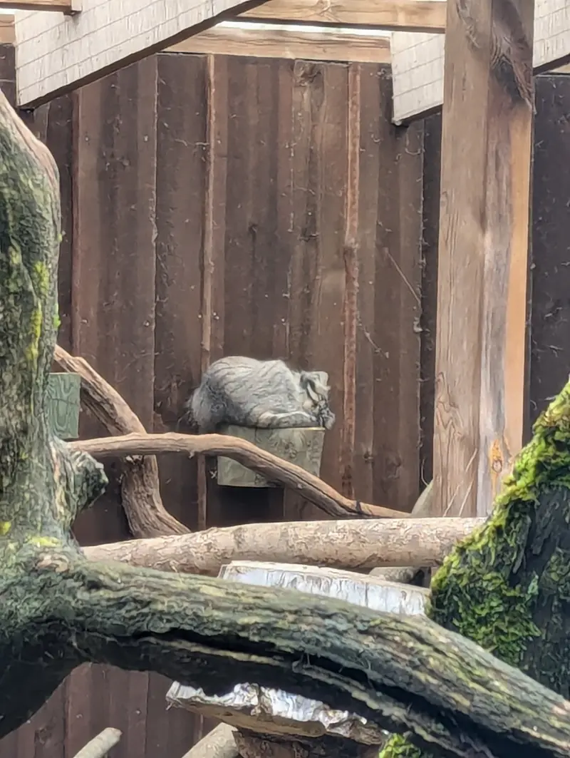 タリン動物園のマーズの写真