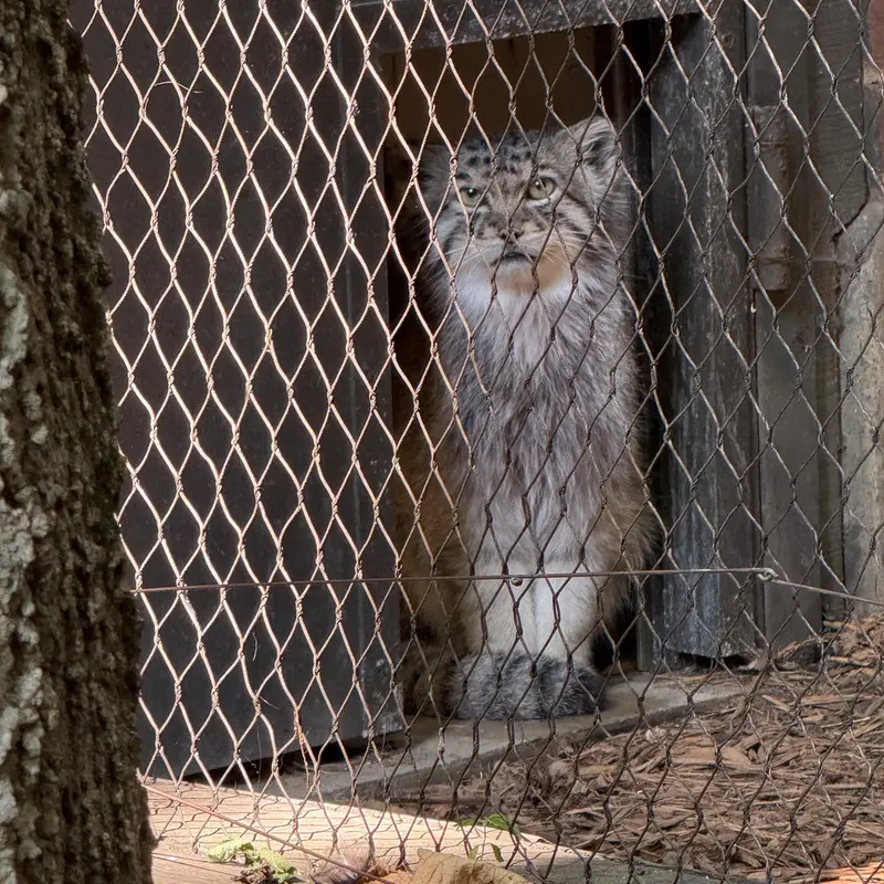 プロスペクト・パーク動物園のバトゥの写真