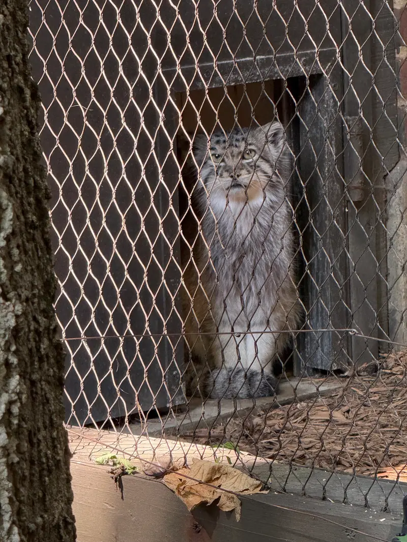 プロスペクト・パーク動物園のバトゥの写真
