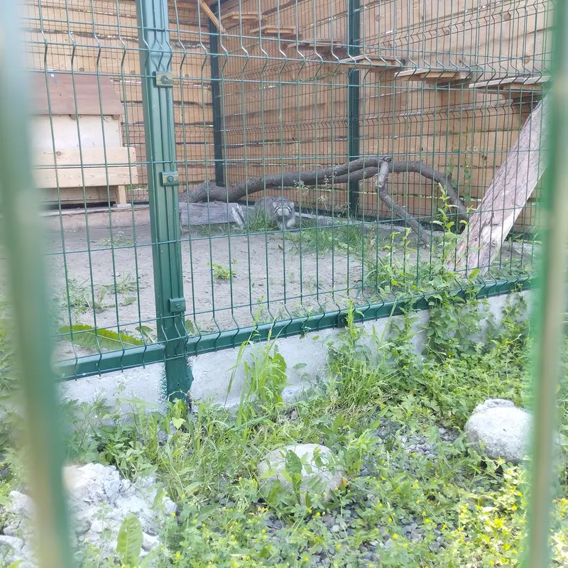 バルナウル動物園「レースナヤ・スカースカ」のチップの写真
