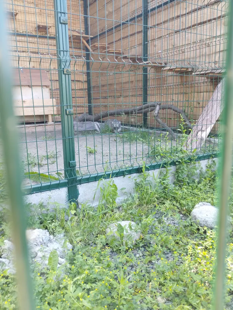 バルナウル動物園「レースナヤ・スカースカ」のチップの写真