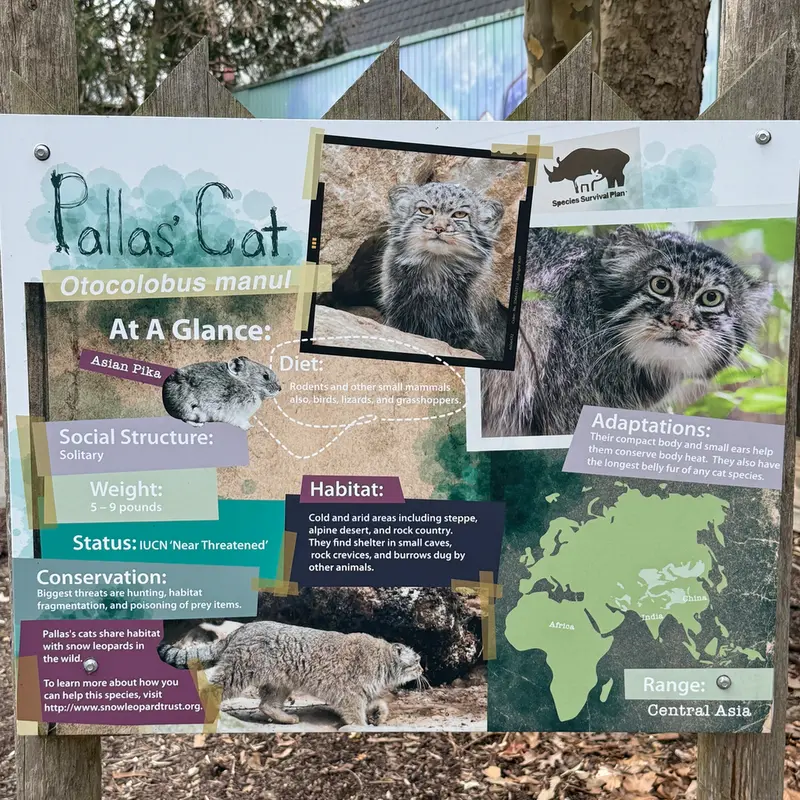 ポッター・パーク動物園のパジの写真