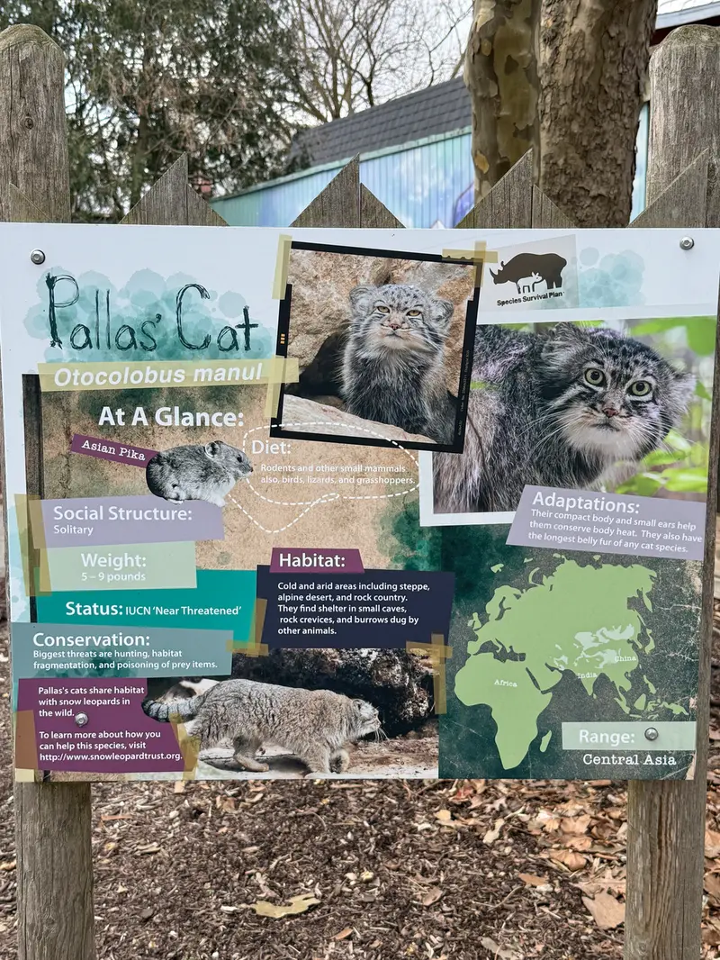 ポッター・パーク動物園のパジの写真