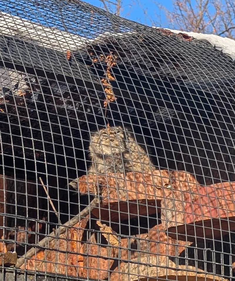 レニングラード動物園のスヴェンの写真