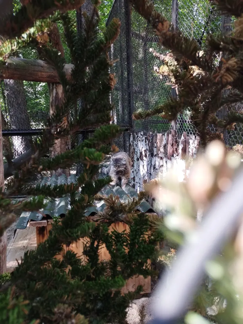ノヴォシビルスク動物園のゼレノゴルスクの写真