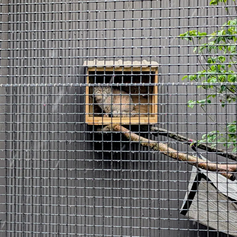 エルムウッド・パーク動物園のレザの写真