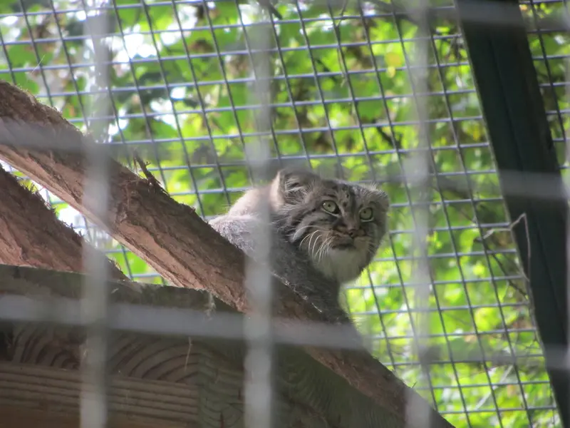 ザールブリュッケン動物園のカール・ハインツの写真