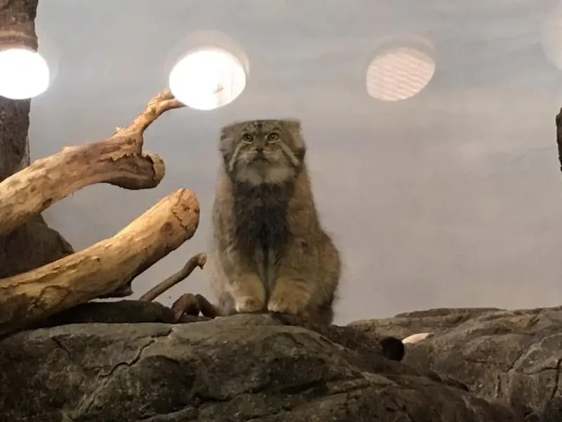 プロスペクト・パーク動物園のボリスの写真