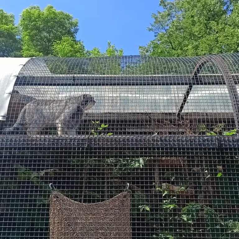 レニングラード動物園のシューの写真