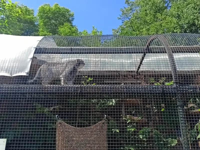 レニングラード動物園のシューの写真
