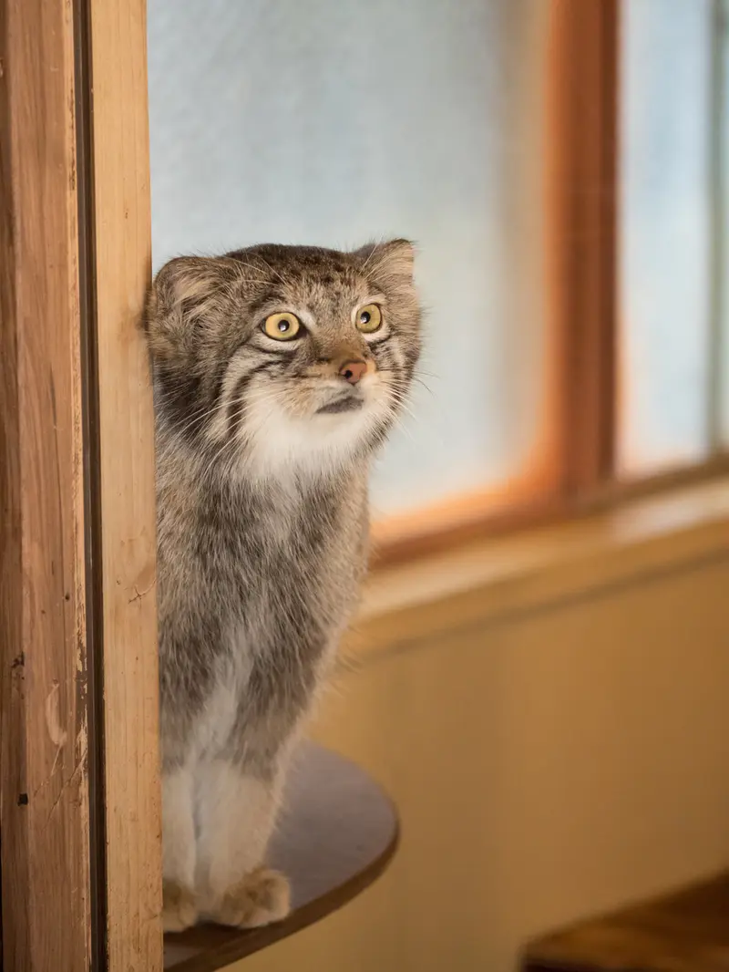 埼玉県こども動物自然公園のオトの写真