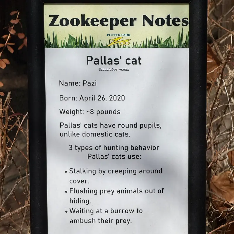 ポッター・パーク動物園のパジの写真