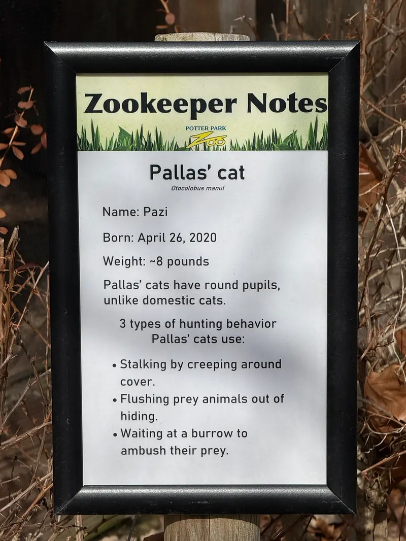 ポッター・パーク動物園のパジの写真