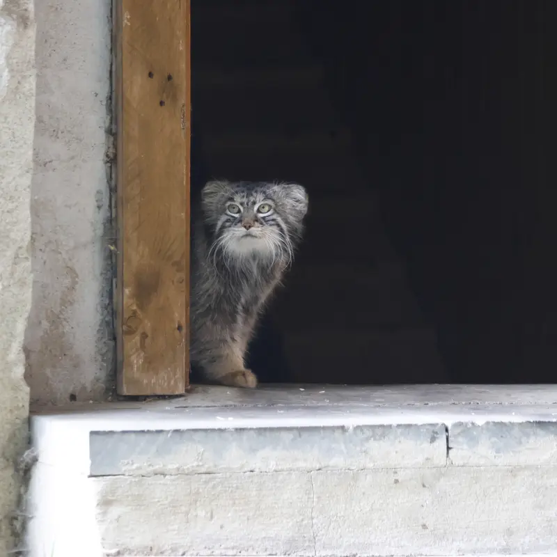 モスクワ動物園のティモフェイの写真
