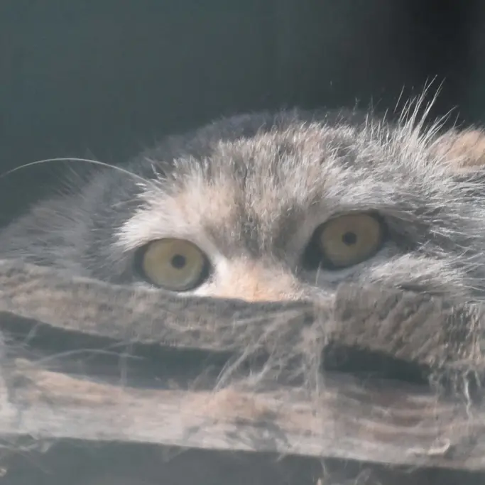ブダペスト動物園＆植物園のルーシーの写真