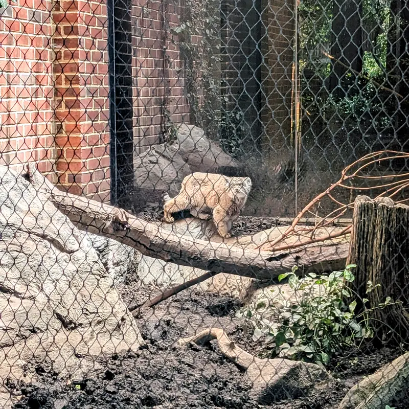 プロスペクト・パーク動物園のサルナイの写真