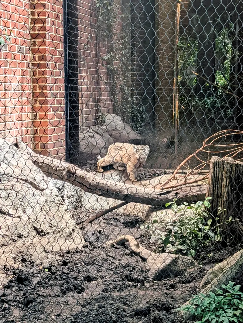 プロスペクト・パーク動物園のサルナイの写真