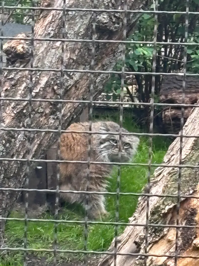 ワルシャワ動物園のジェシーの写真