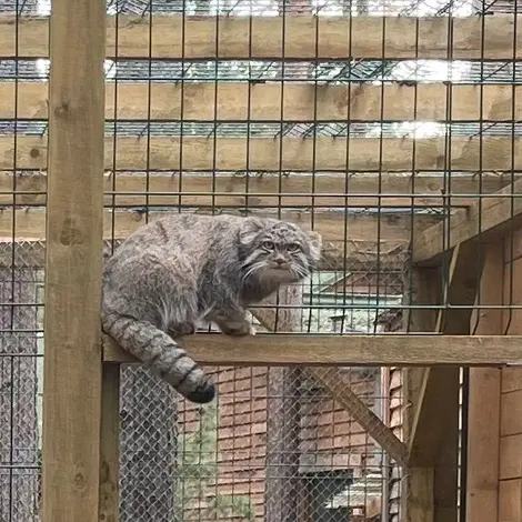 動物園「ナ・ランプシュケ」のバユンの写真