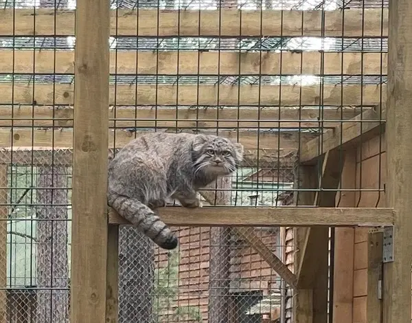 動物園「ナ・ランプシュケ」のバユンの写真