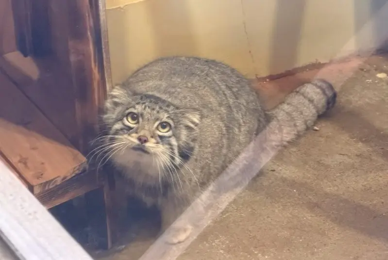 埼玉県こども動物自然公園のオトの写真
