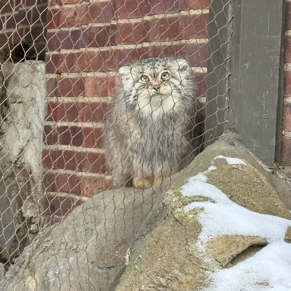 プロスペクト・パーク動物園のサルナイの写真