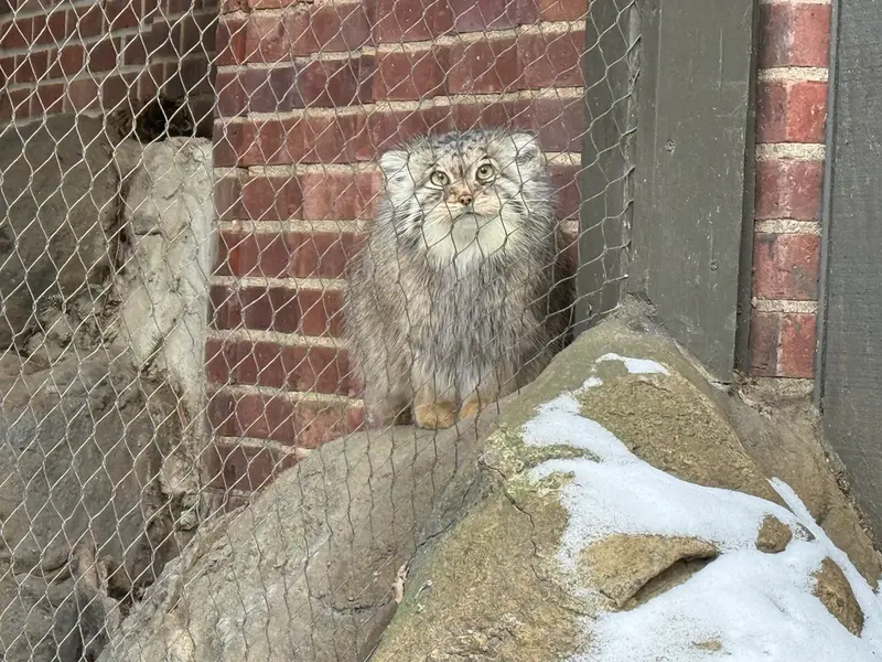 プロスペクト・パーク動物園のサルナイの写真