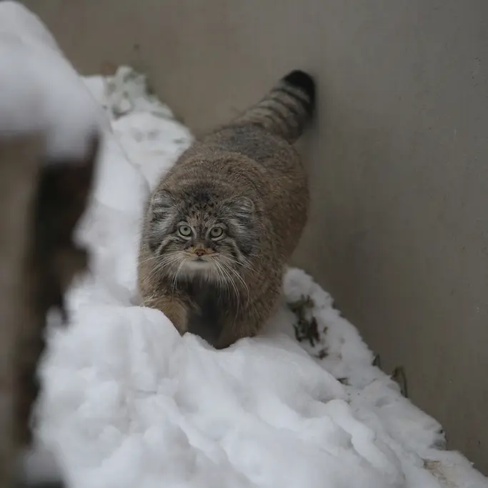 グダニスク動物園のウラの写真