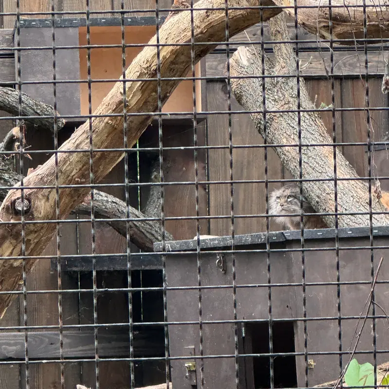 ワルシャワ動物園のジェシーの写真