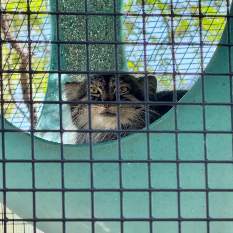 ニアイビ動物園のイーヴィーの写真
